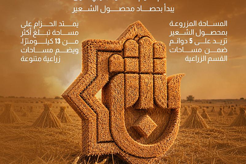 قسم الحزام الأخضر الجنوبي الأول يبدأ بحصاد محصول الشعير 