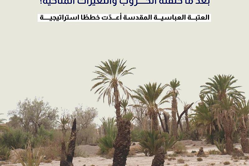 هل يعود تراث النخيل العراقي بعد ما خلفته الحروب والتغيرات المناخية؟ 