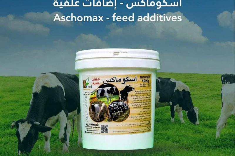 كيف استطاعت شركةُ خير الجود تحسينَ النموّ الحيوانيّ والحدّ من الهلاكات الطبيعيّة