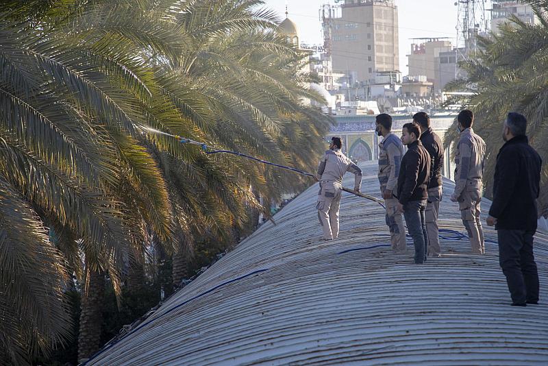 ملاكات العتبة العباسية تجري حملة وقائية لأشجار النخيل في منطقة ما بين الحرمين الشريفين