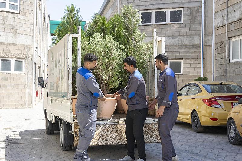 مشاتل الكفيل تزيّن مجمّع أبي الفضل العباس (عليه السلام) بالورود