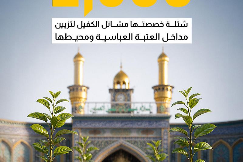 2600 شتلة خصصتها مشاتل الكفيل لتزيين مداخل العتبة العباسية ومحيطها 