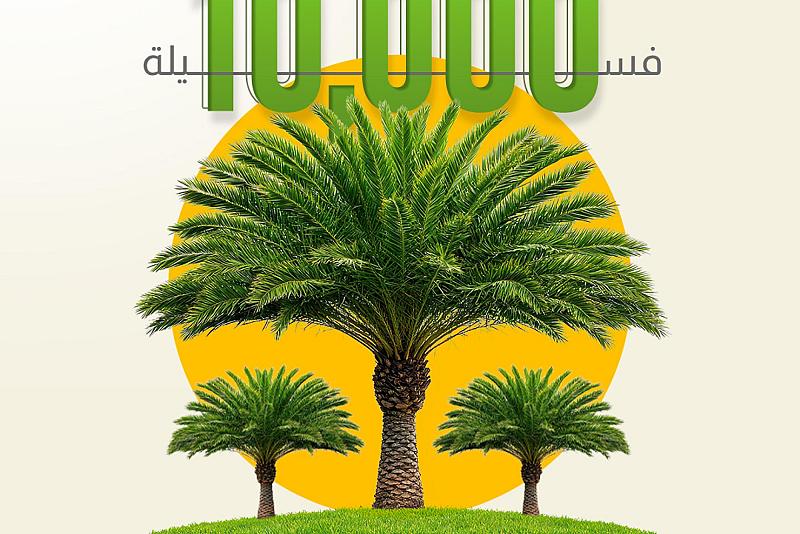 10,000 فسيلة، تضيفها مزارع الساقي ضمن خطة استصلاح الأراضي وإضافة مساحات جديدة