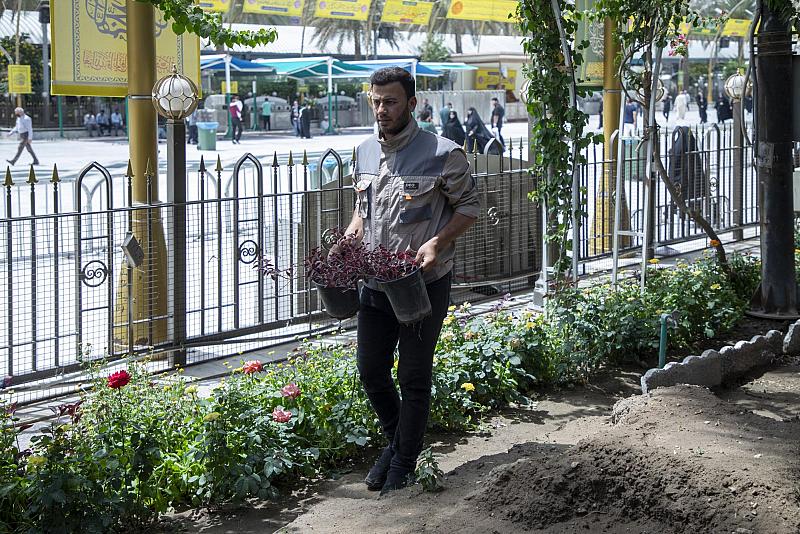 العتبة العباسية المقدسة تنظم حملة تشجير في منطقة بين الحرمين الشريفين