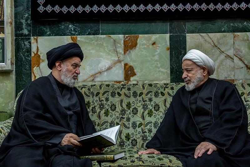 السيد الصافي يدعو إلى الاهتمام بالمشاريع البحثية والتحقيقية لإحياء التراث العلميّ والمعرفيّ