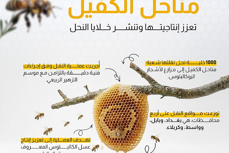 مجموعة مناحل الكفيل تعزز إنتاجيتها وتنشر خلايا النحل