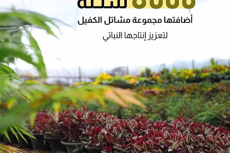 8000 شتلة أضافتها مجموعة مشاتل الكفيل لتعزيز إنتاجها النباتي 
