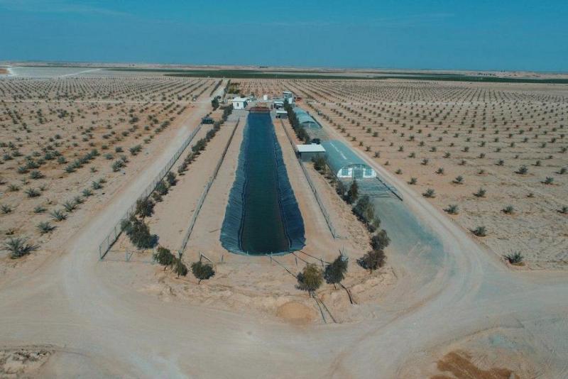 قسمُ المشاريع في العتبة العبّاسية يُعلن عن سيطرته على منسوب المياه الجوفيّة في مشروع الساقي 