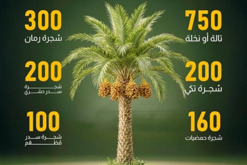 زراعة مئات الأشجار المثمرة وتطوير أنظمة الري بالموسم الجديد