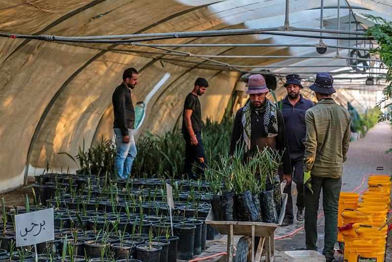 جامعة كربلاء: مشاريع العتبة العباسية المقدسة تقدم نموذجًا للزراعة الآمنة بالمواد العضوية