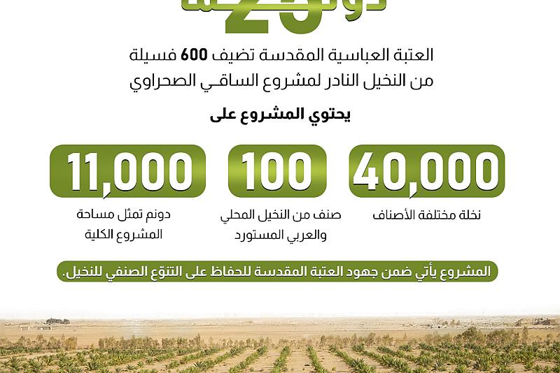 العتبة العباسية المقدسة تضيف 600 فسيلة من النخيل النادر لمشروع الساقي الصحراوي