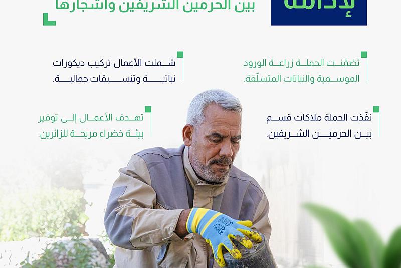 حملة لإدامة نباتات ساحة بين الحرمين الشريفين وأشجارها
