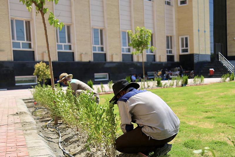 لزيادة المساحات الخضراء.. قسم الحزام الأخضر الثاني يشرع بحملة تشجير في جامعة العميد