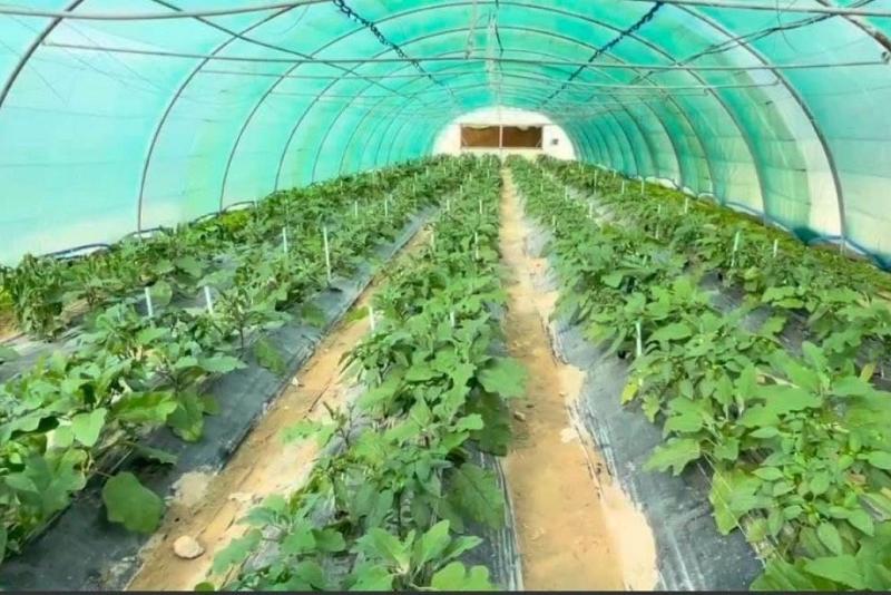 أسمدةُ خير الجود حلولٌ ناجعة لمواجهة تأثير تقلّبات الطقس على المزروعات