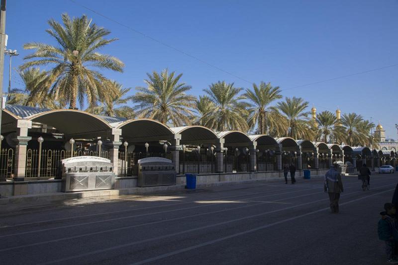 المباشرةُ بالحملة الموسميّة لإدامة النخيل في ساحة ما بين الحرمَيْن الشريفَيْن