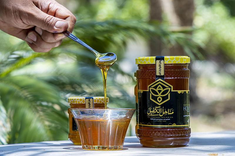 لفوائده الطبية والغذائية.. مناحل الكفيل توفر عسل الشوكيات المر النادر