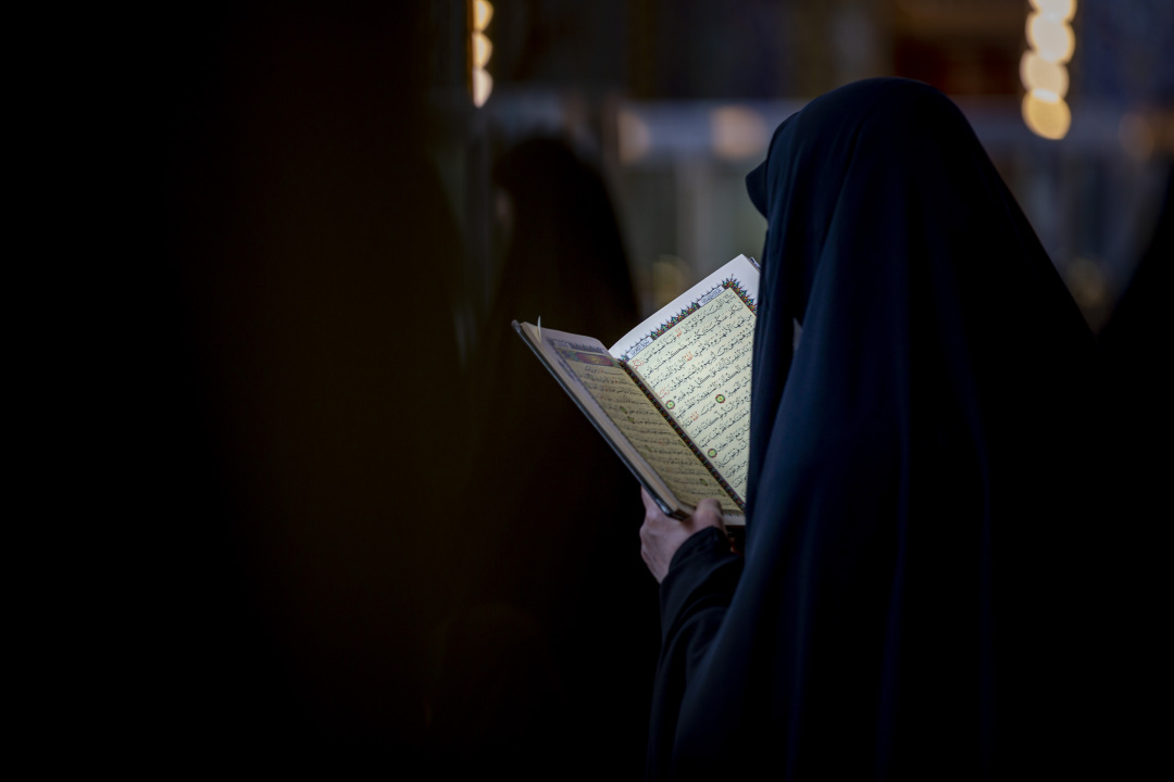معرض الصور شبكة الكفيل العالمية