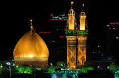 مشاركات الأعضاء