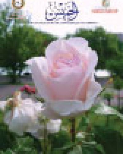 نشرة الخميس (364)