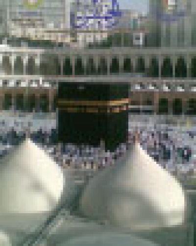 نشرة الخميس