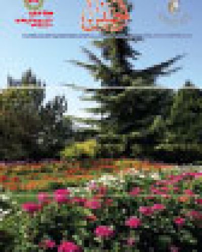 نشرة الخميس