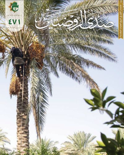 صدى الروضتين