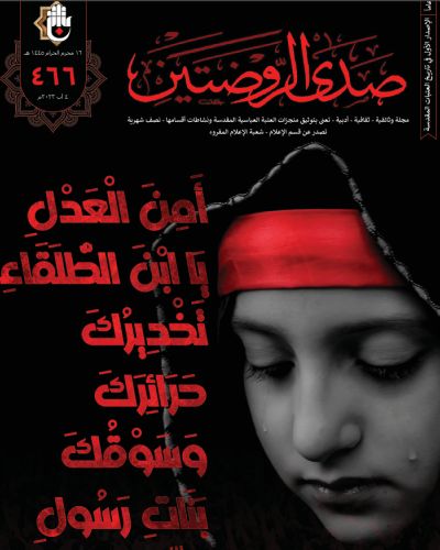 صدى الروضتين