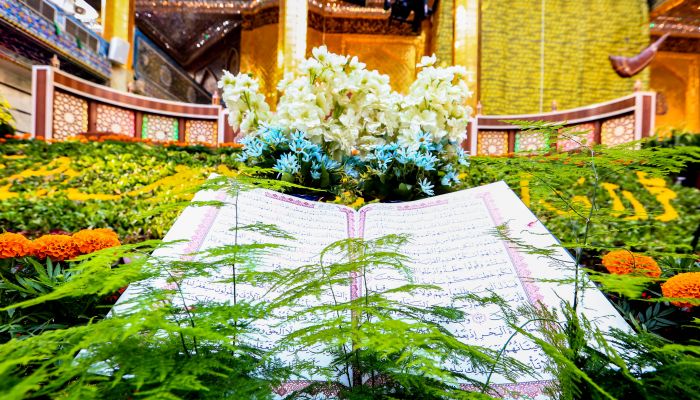 أُصول المباحث التَّنمويّة في القرآن الكريم المهارات اللّينة مثالاً