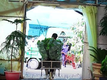 بمختلف الأصناف.. مجموعة مشاتل الكفيل ترفد مشاتلها بأكثر من 8000 شتلة