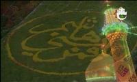 الشاعر حسن البركي من مدينة السماوة