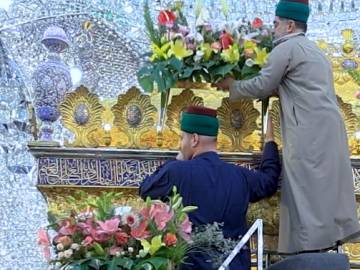 أكاليل ورد المولد العلوي المبارك تزيّن شباك مرقد أبي الفضل العباس (عليه السلام)