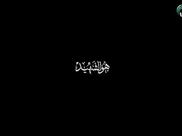 فيلم طائر البشير