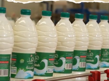 معمل ألبان الكفيل :إنتاج محلي خاضع للفحص الدائم وخالٍ من أي مواد حافظة