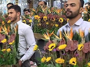 أكاليل الورد تزين شباك مرقد أبي الفضل العباس (عليه السلام) بذكرى المولد الفاطمي المبارك