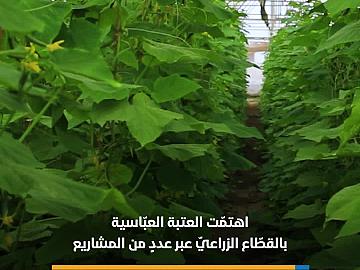 كيف أسهمت مزارعُ العتبة العبّاسية في دعم المُنتج المحلّي ونالت ثقة المواطن..؟