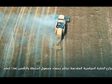 مزارع العتبة العباسية المقدسة تباشر بحصاد محصول الحنطة والشعير لهذا العام