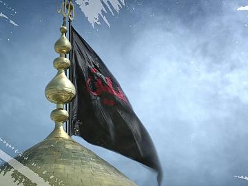 فلأندبنّك صباحاً ومساءً ولأبكينّ عليك بدل الدموع دماً  / خواطر حسينية