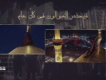 راية الأحزان  هنا كربلاء ... موطن الإباء