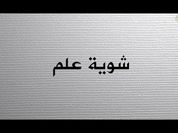 ضبط مصنع | شوية علم