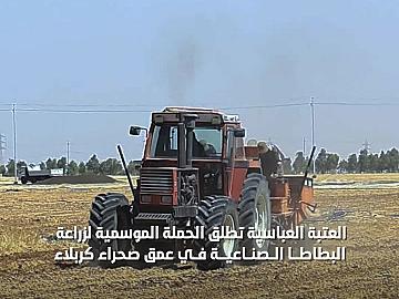 باتباع أحدث الوسائل والتقنيات الزراعية ... العتبة العباسية تطلق الحملة الموسمية لزراعة البطاطا الصناعية في عمق صحراء كربلاء .