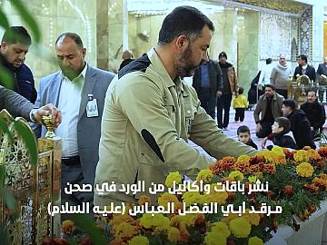 نشر باقات وأكاليل من الورد في صحن مرقد أبي الفضل العباس (عليه السلام) احتفاءً بذكرى المولد الفاطمي المبارك.